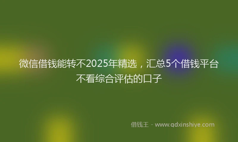 微信借钱能转不2025年精选，汇总5个借钱平台不看综合评估的口子