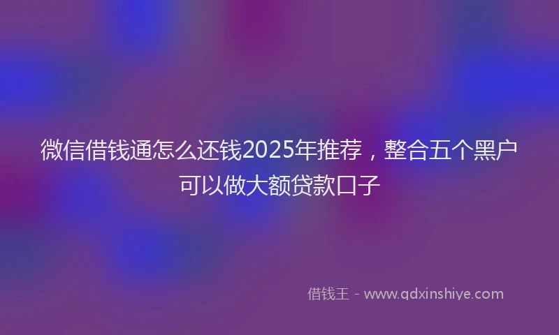微信借钱通怎么还钱2025年推荐，整合五个黑户可以做大额贷款口子