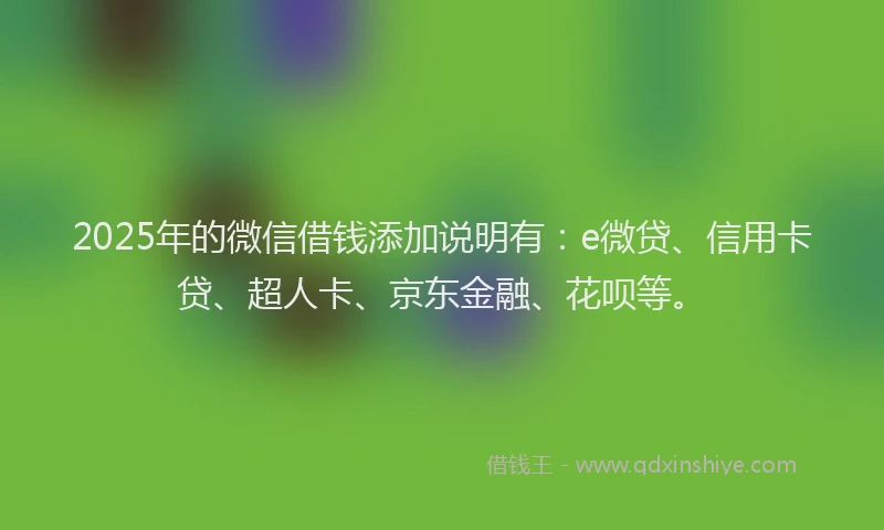 2025年的微信借钱添加说明有：e微贷、信用卡贷、超人卡、京东金融、花呗等。