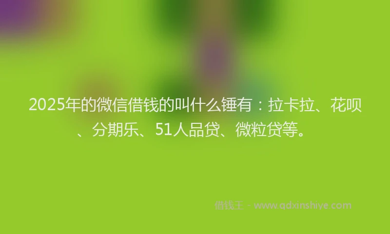 2025年的微信借钱的叫什么锤有：拉卡拉、花呗、分期乐、51人品贷、微粒贷等。