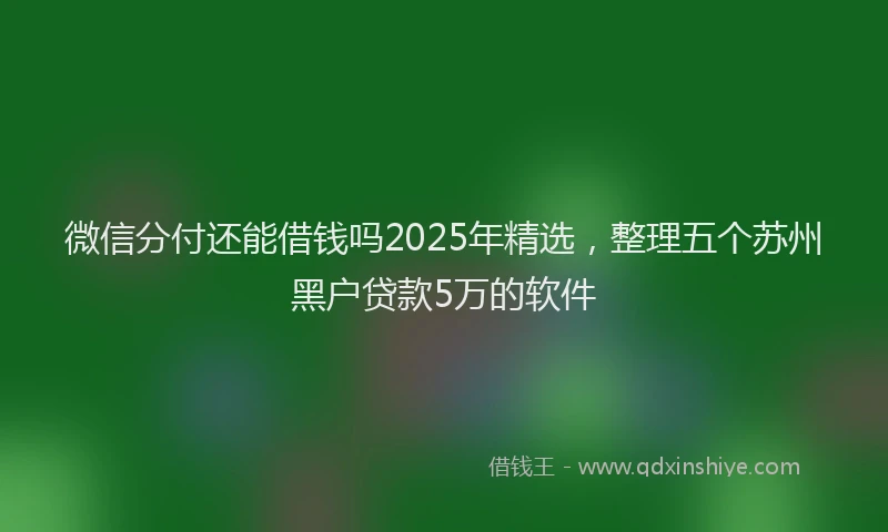 微信分付还能借钱吗2025年精选，整理五个苏州黑户贷款5万的软件