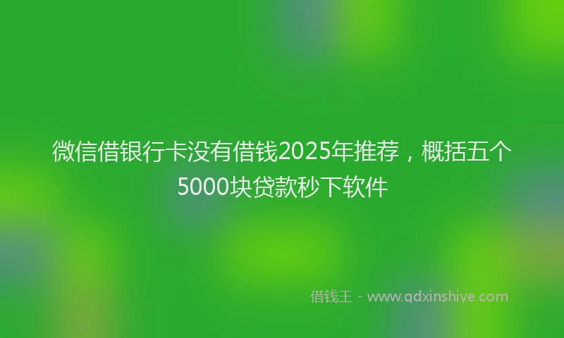 微信借银行卡没有借钱2025年推荐，概括五个5000块贷款秒下软件