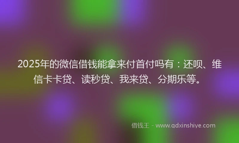 2025年的微信借钱能拿来付首付吗有：还呗、维信卡卡贷、读秒贷、我来贷、分期乐等。