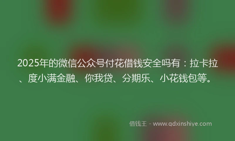 2025年的微信公众号付花借钱安全吗有：拉卡拉、度小满金融、你我贷、分期乐、小花钱包等。