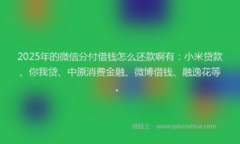 2025年的微信分付借钱怎么还款啊有：小米贷款、你我贷、中原消费金融、微博借钱、融逸花等。