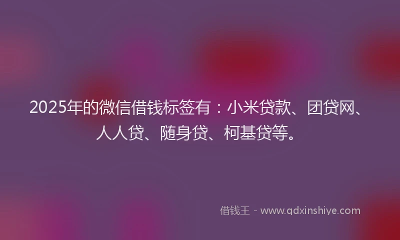 2025年的微信借钱标签有：小米贷款、团贷网、人人贷、随身贷、柯基贷等。