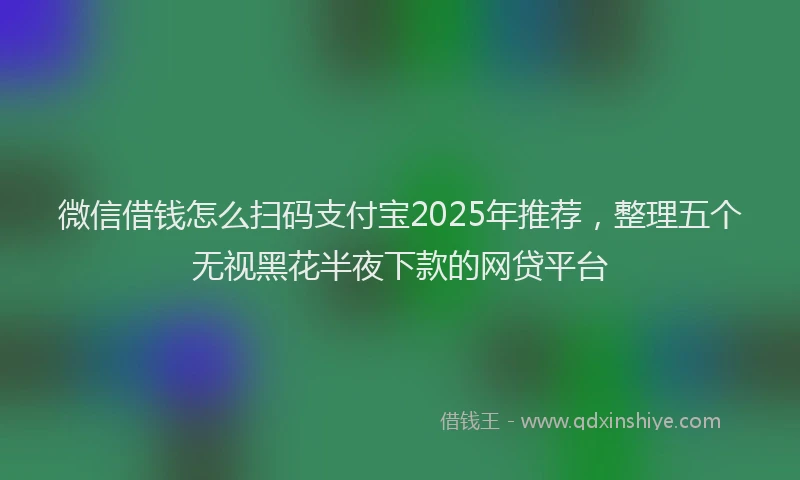 微信借钱怎么扫码支付宝2025年推荐，整理五个无视黑花半夜下款的网贷平台