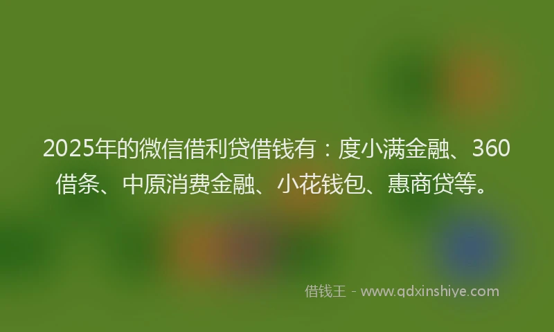 2025年的微信借利贷借钱有：度小满金融、360借条、中原消费金融、小花钱包、惠商贷等。