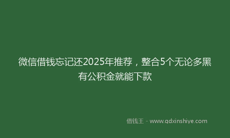 微信借钱忘记还2025年推荐，整合5个无论多黑有公积金就能下款