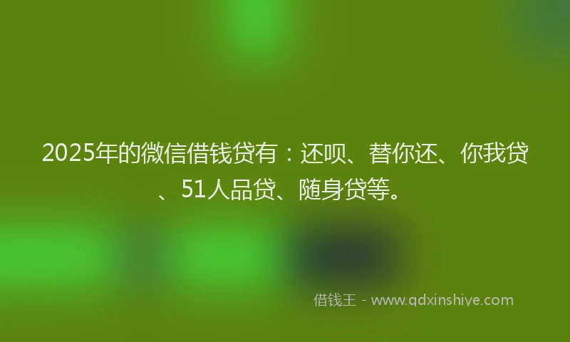 2025年的微信借钱贷有：还呗、替你还、你我贷、51人品贷、随身贷等。