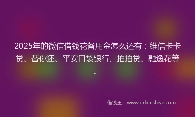 2025年的微信借钱花备用金怎么还有：维信卡卡贷、替你还、平安口袋银行、拍拍贷、融逸花等。