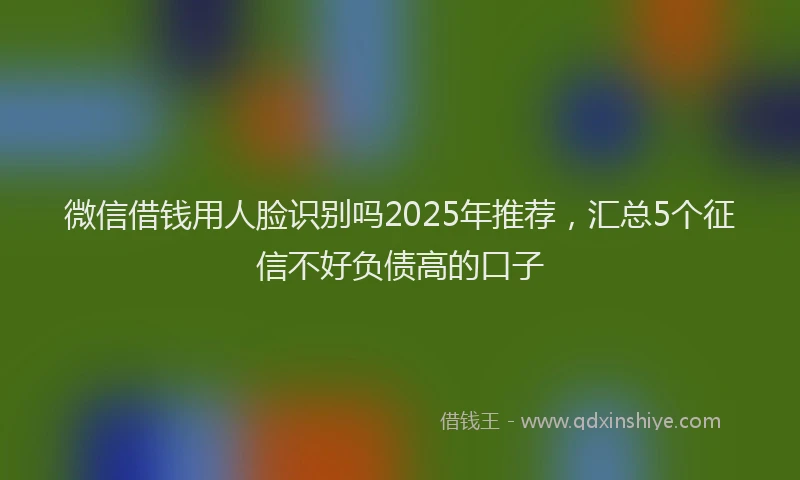 微信借钱用人脸识别吗2025年推荐，汇总5个征信不好负债高的口子