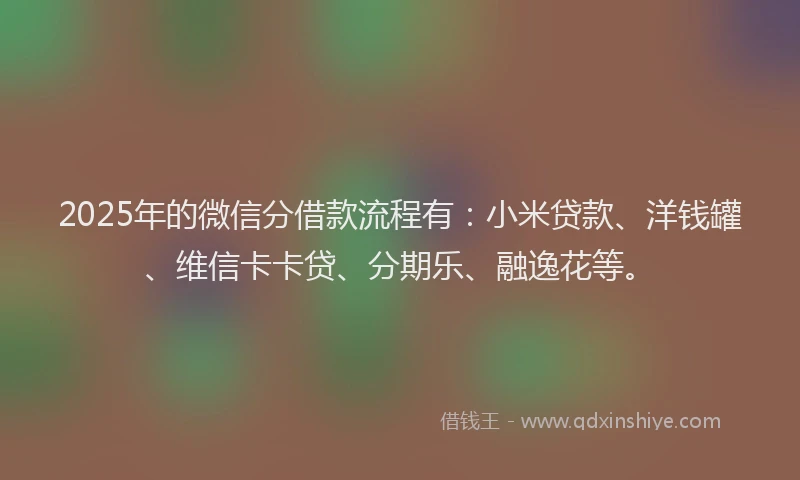 2025年的微信分借款流程有：小米贷款、洋钱罐、维信卡卡贷、分期乐、融逸花等。