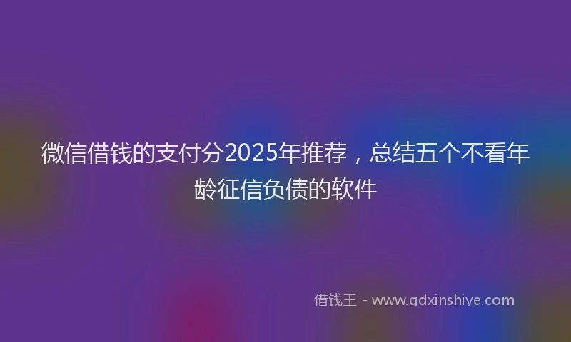 微信借钱的支付分2025年推荐，总结五个不看年龄征信负债的软件