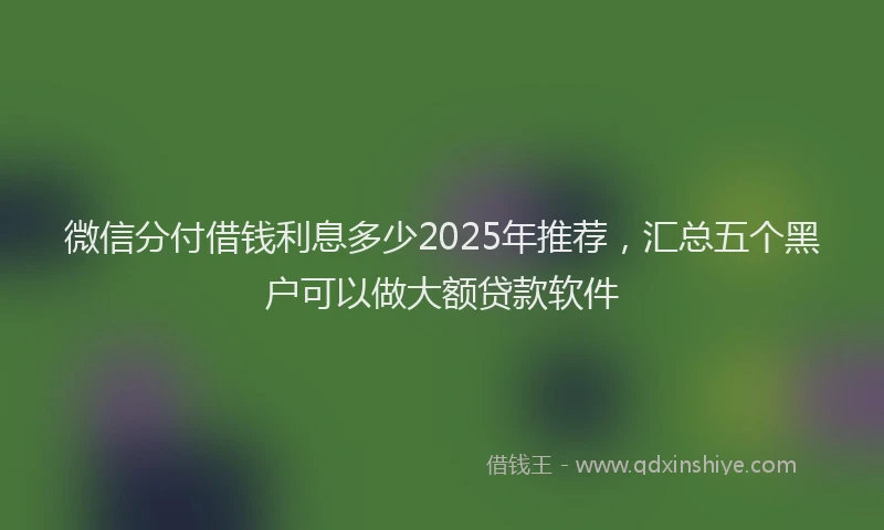 微信分付借钱利息多少2025年推荐，汇总五个黑户可以做大额贷款软件