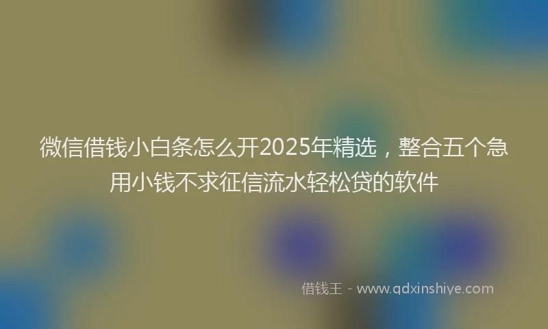 微信借钱小白条怎么开2025年精选，整合五个急用小钱不求征信流水轻松贷的软件