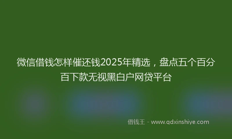 微信借钱怎样催还钱2025年精选，盘点五个百分百下款无视黑白户网贷平台