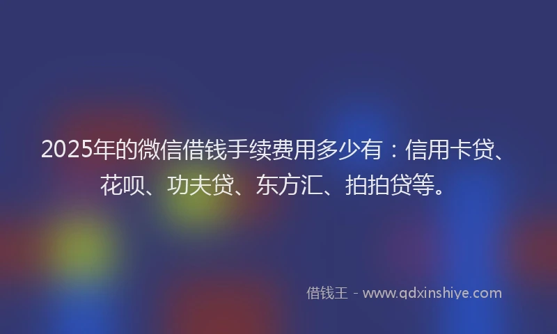 2025年的微信借钱手续费用多少有：信用卡贷、花呗、功夫贷、东方汇、拍拍贷等。