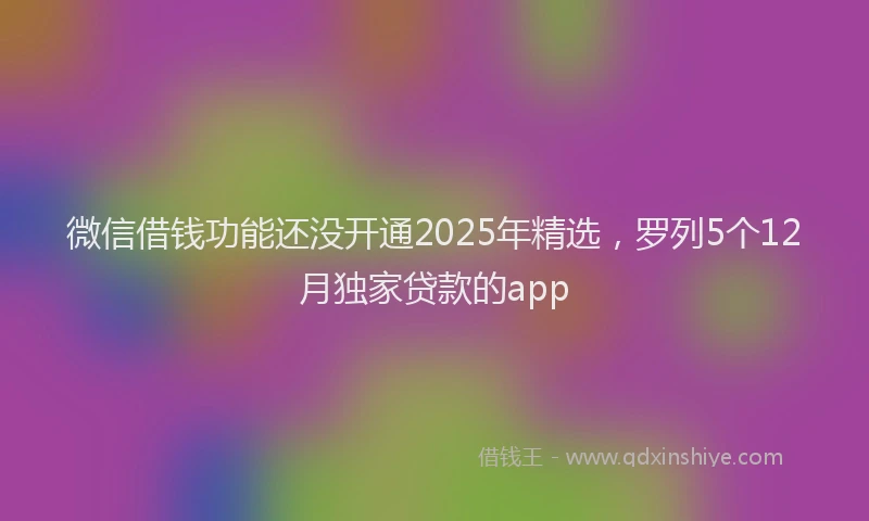 微信借钱功能还没开通2025年精选，罗列5个12月独家贷款的app