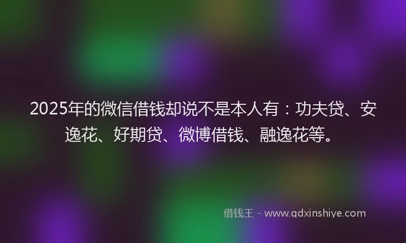 2025年的微信借钱却说不是本人有：功夫贷、安逸花、好期贷、微博借钱、融逸花等。