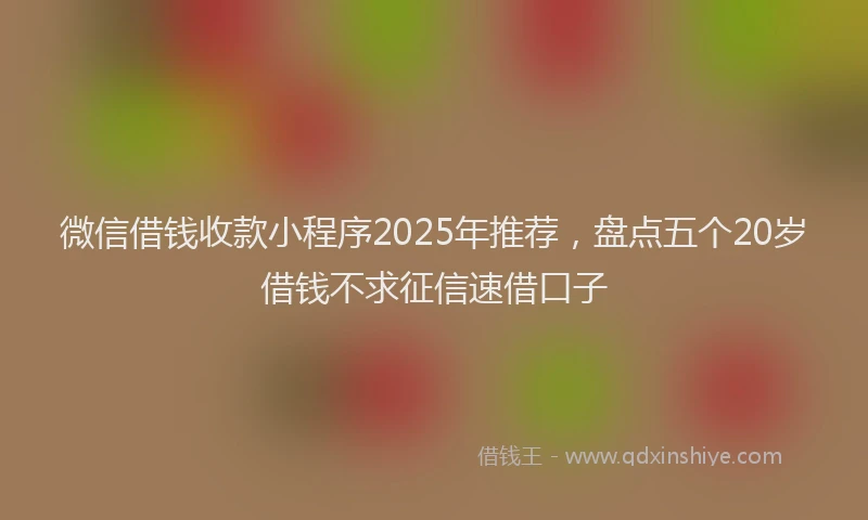 微信借钱收款小程序2025年推荐，盘点五个20岁借钱不求征信速借口子