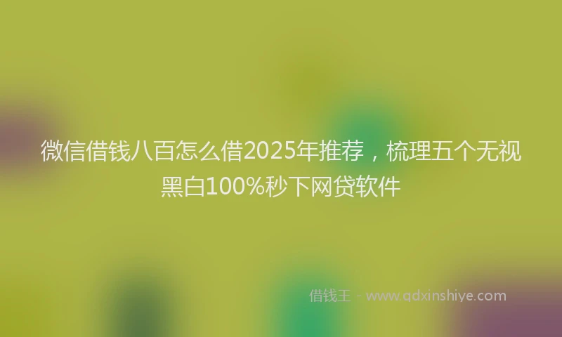 微信借钱八百怎么借2025年推荐，梳理五个无视黑白100%秒下网贷软件