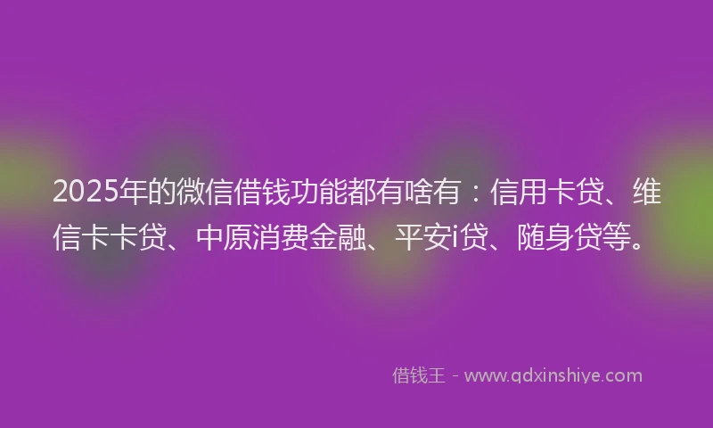2025年的微信借钱功能都有啥有：信用卡贷、维信卡卡贷、中原消费金融、平安i贷、随身贷等。