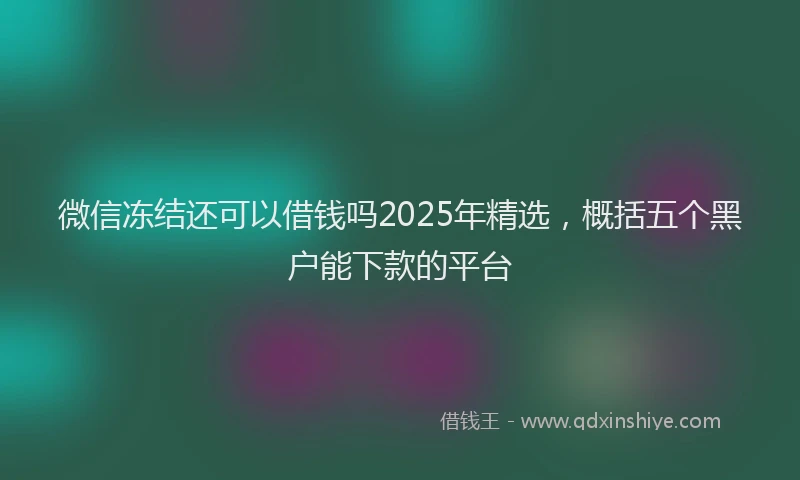 微信冻结还可以借钱吗2025年精选，概括五个黑户能下款的平台