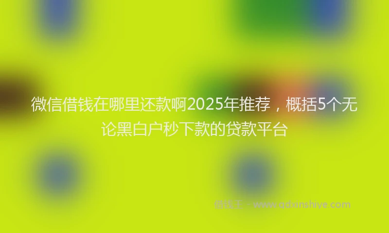 微信借钱在哪里还款啊2025年推荐，概括5个无论黑白户秒下款的贷款平台