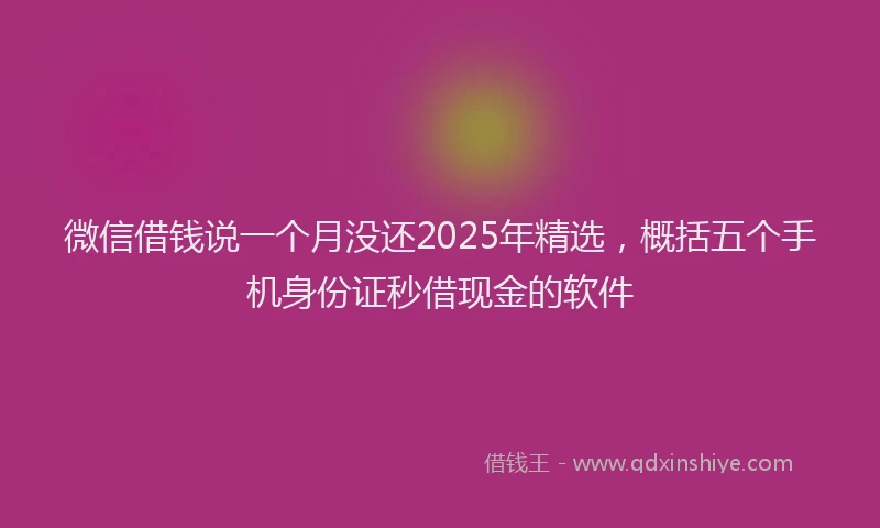 微信借钱说一个月没还2025年精选，概括五个手机身份证秒借现金的软件