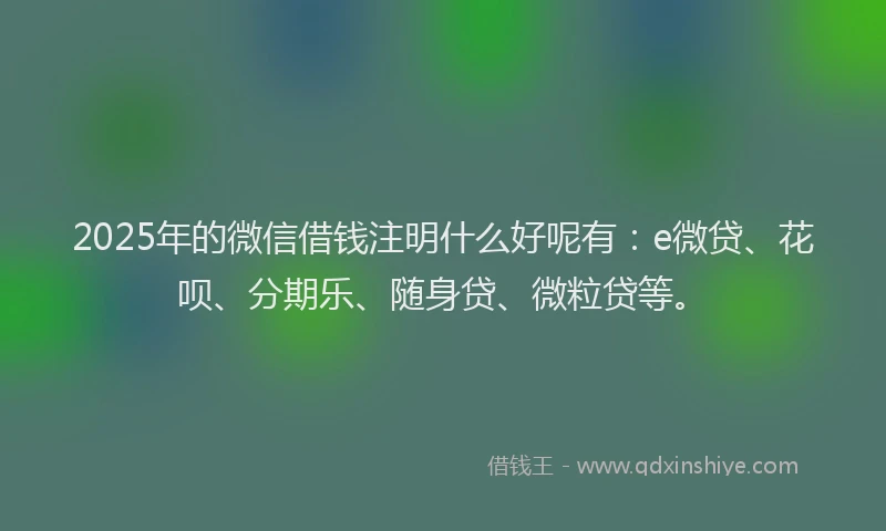 2025年的微信借钱注明什么好呢有：e微贷、花呗、分期乐、随身贷、微粒贷等。