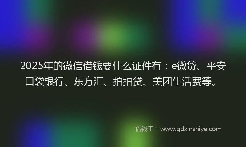 2025年的微信借钱要什么证件有：e微贷、平安口袋银行、东方汇、拍拍贷、美团生活费等。