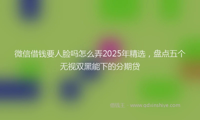 微信借钱要人脸吗怎么弄2025年精选，盘点五个无视双黑能下的分期贷