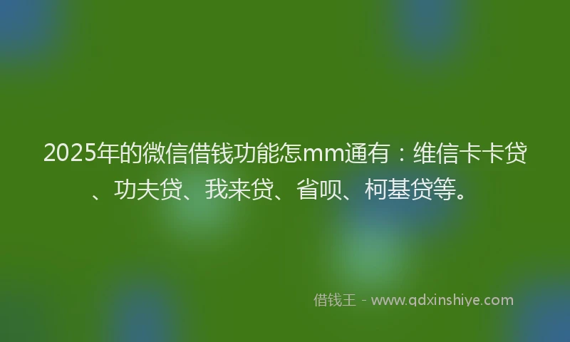 2025年的微信借钱功能怎mm通有：维信卡卡贷、功夫贷、我来贷、省呗、柯基贷等。
