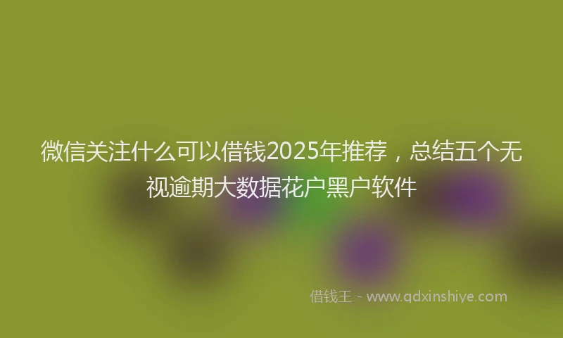 微信关注什么可以借钱2025年推荐，总结五个无视逾期大数据花户黑户软件