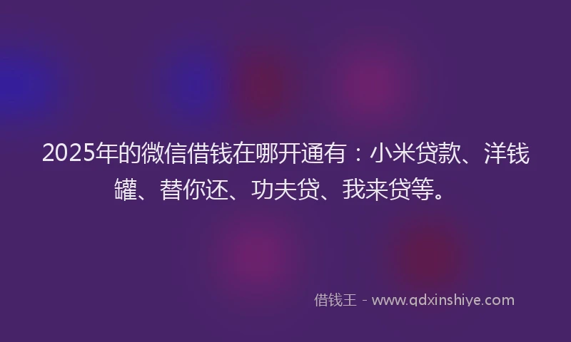 2025年的微信借钱在哪开通有：小米贷款、洋钱罐、替你还、功夫贷、我来贷等。