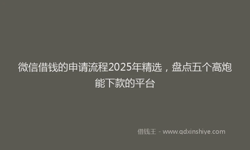 微信借钱的申请流程2025年精选，盘点五个高炮能下款的平台