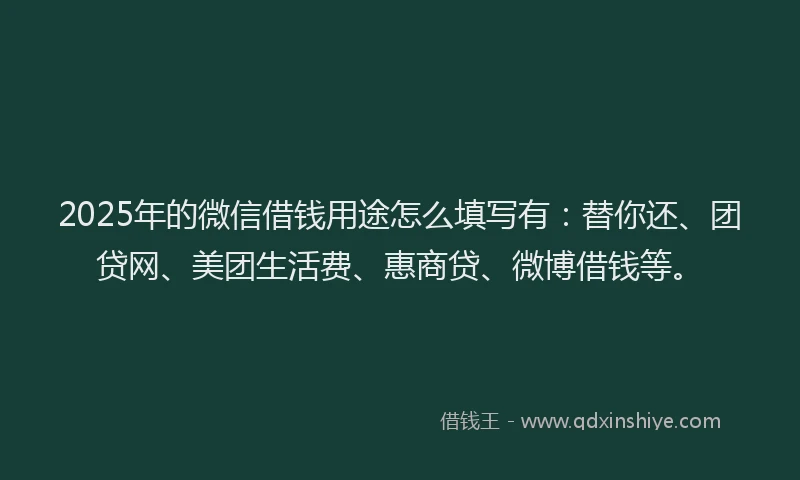 2025年的微信借钱用途怎么填写有：替你还、团贷网、美团生活费、惠商贷、微博借钱等。