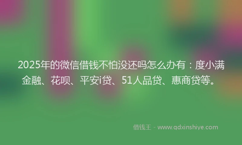 2025年的微信借钱不怕没还吗怎么办有：度小满金融、花呗、平安i贷、51人品贷、惠商贷等。