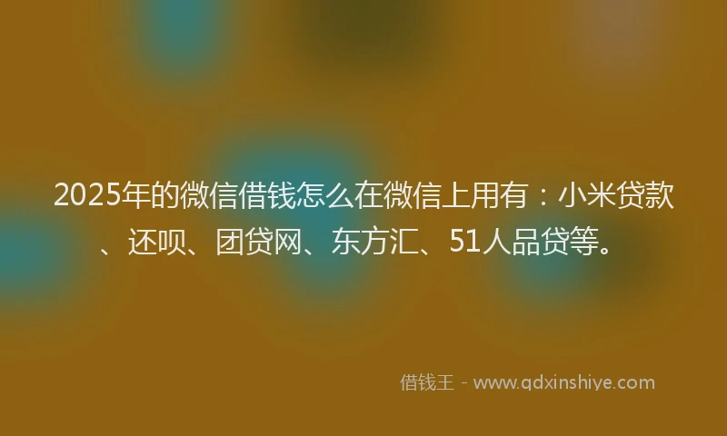 2025年的微信借钱怎么在微信上用有：小米贷款、还呗、团贷网、东方汇、51人品贷等。