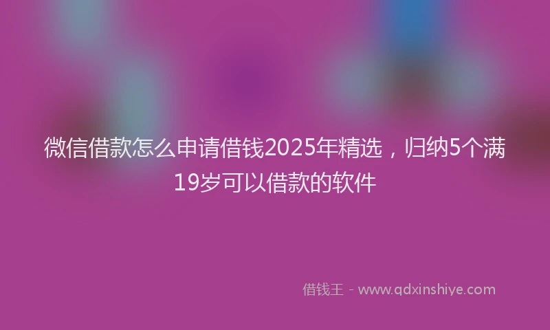 微信借款怎么申请借钱2025年精选，归纳5个满19岁可以借款的软件