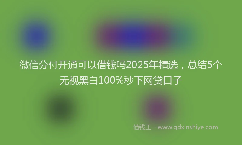 微信分付开通可以借钱吗2025年精选，总结5个无视黑白100%秒下网贷口子