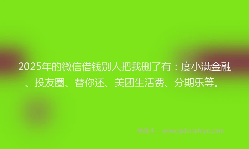 2025年的微信借钱别人把我删了有：度小满金融、投友圈、替你还、美团生活费、分期乐等。