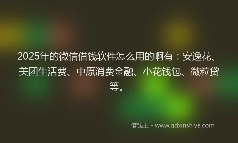 2025年的微信借钱软件怎么用的啊有：安逸花、美团生活费、中原消费金融、小花钱包、微粒贷等。