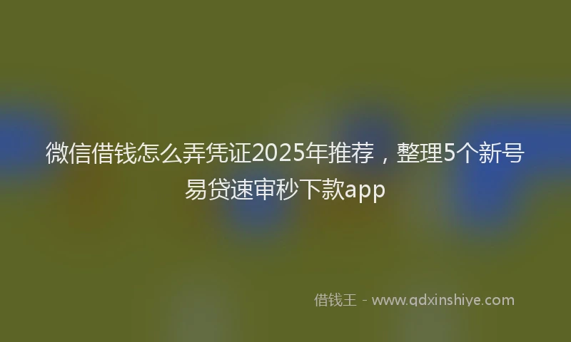 微信借钱怎么弄凭证2025年推荐，整理5个新号易贷速审秒下款app