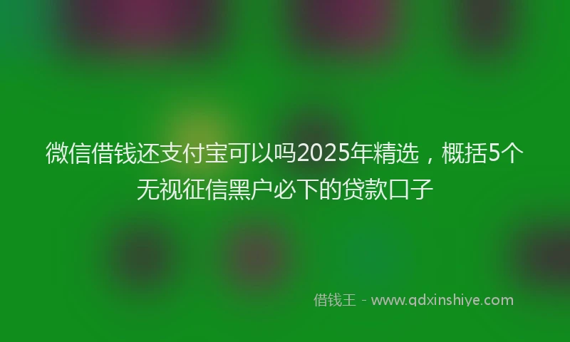 微信借钱还支付宝可以吗2025年精选，概括5个无视征信黑户必下的贷款口子