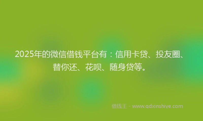 2025年的微信借钱平台有：信用卡贷、投友圈、替你还、花呗、随身贷等。