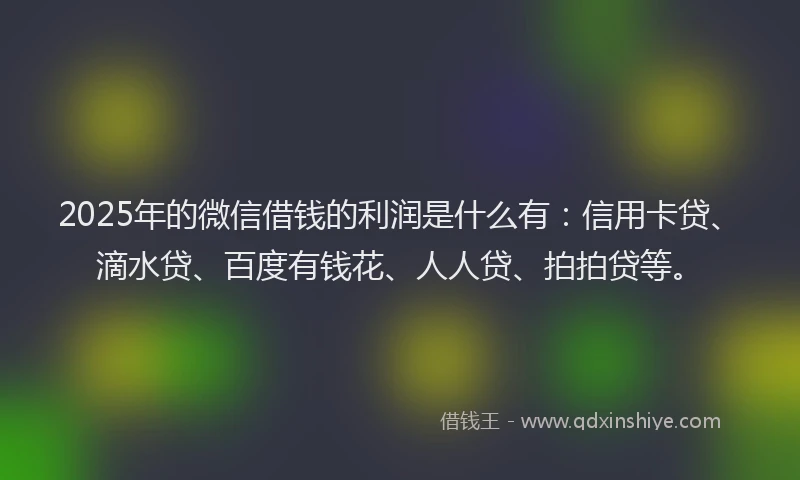 2025年的微信借钱的利润是什么有：信用卡贷、滴水贷、百度有钱花、人人贷、拍拍贷等。