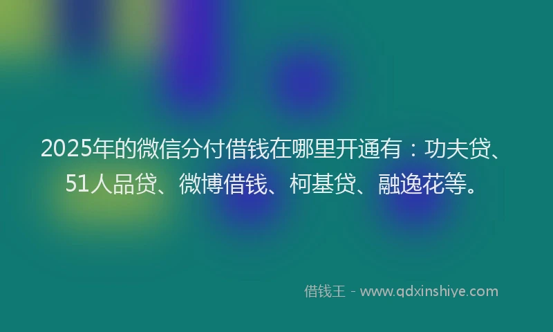 2025年的微信分付借钱在哪里开通有：功夫贷、51人品贷、微博借钱、柯基贷、融逸花等。
