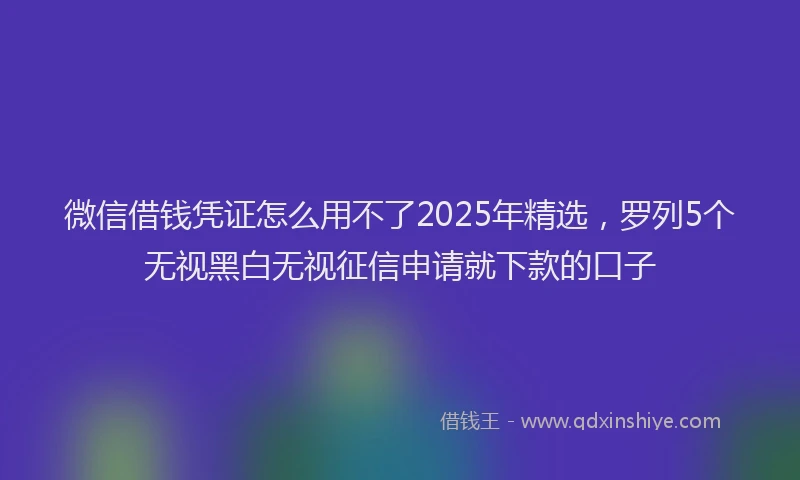 微信借钱凭证怎么用不了2025年精选，罗列5个无视黑白无视征信申请就下款的口子